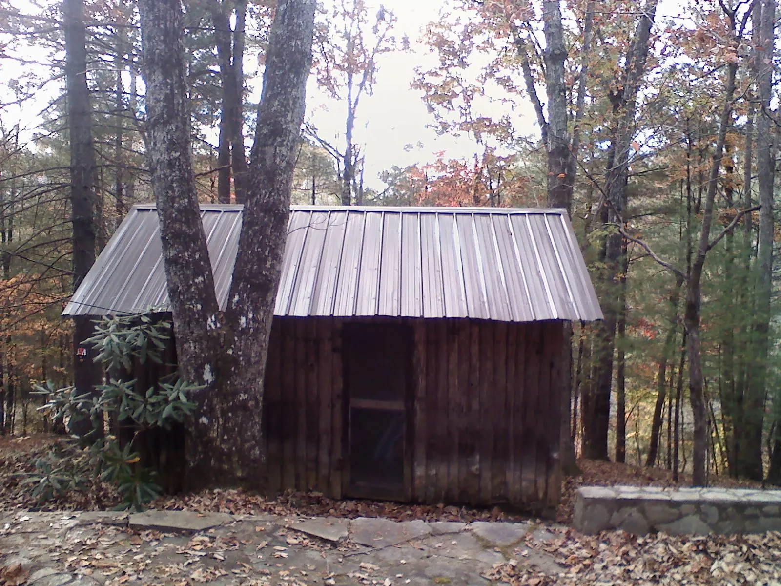 New metal gable roof on a small log shed among the trees in Nevada